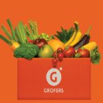 Online grocery firm Grofers raises over $200 mn led by Softbank Vision Fund